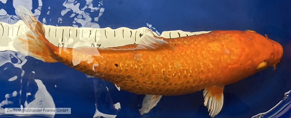202304035.jpg