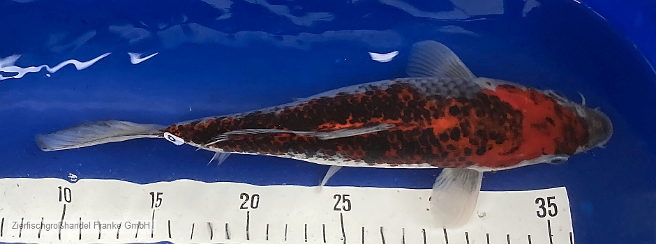 202304041.jpg