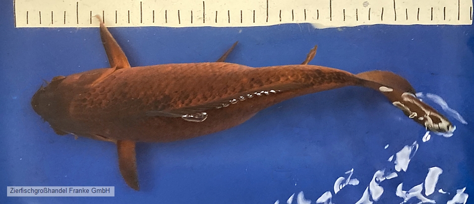 202304101.jpg