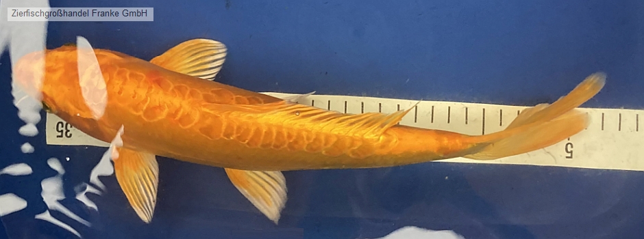 202304108.jpg